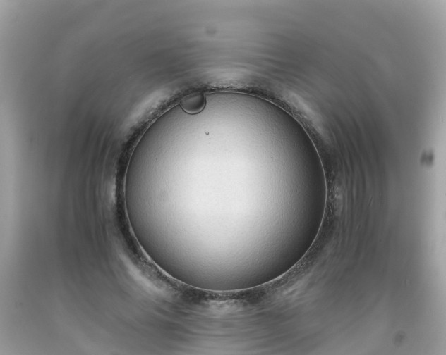 X0000092000686200709131515