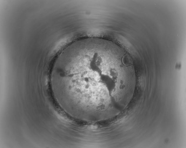 X0000092000687200709131515