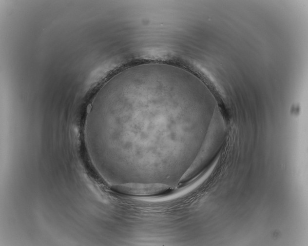 X0000092000688200709131515