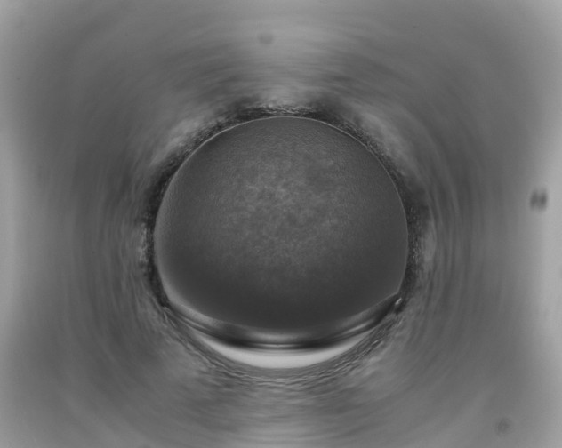 X0000092000689200709131514