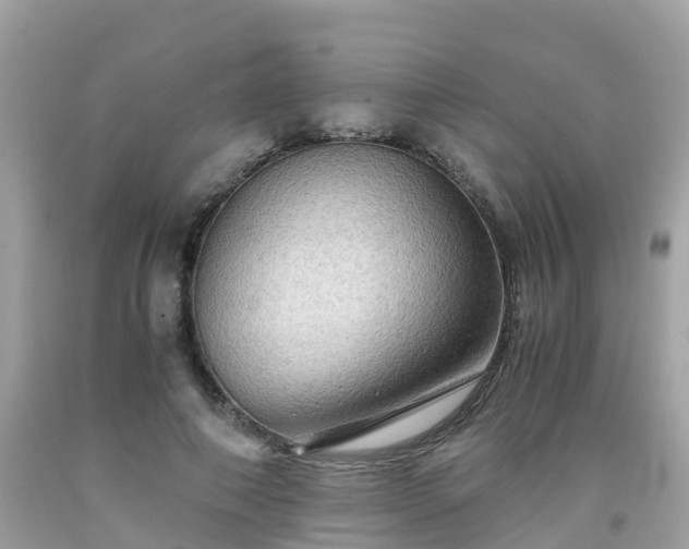 X0000092000690200709131514