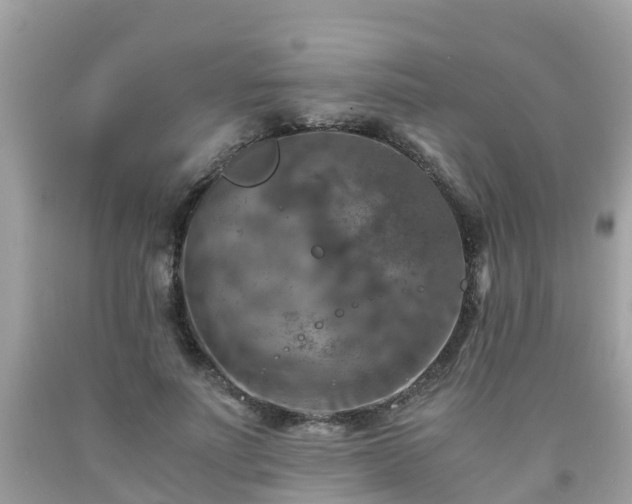 X0000092000691200709131514