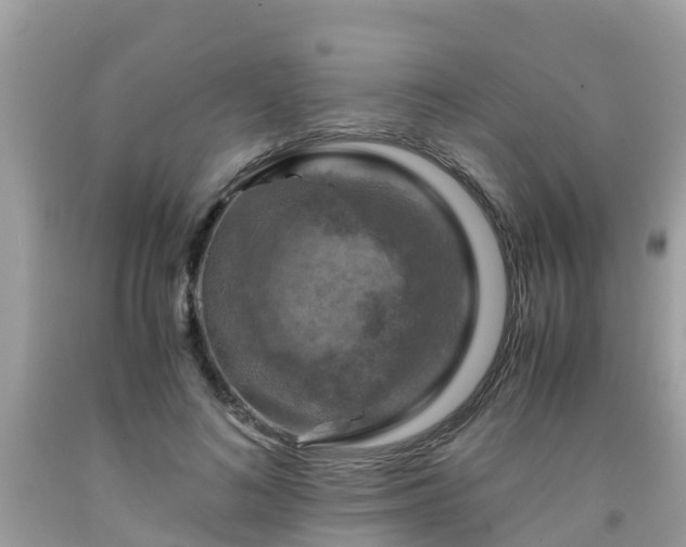 X0000092000692200709131514