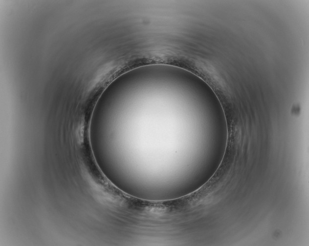 X0000092000694200709131514