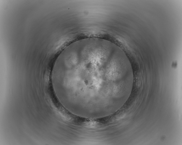 X0000092000695200709131514