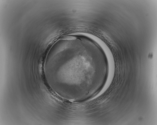 X0000092000696200709131514