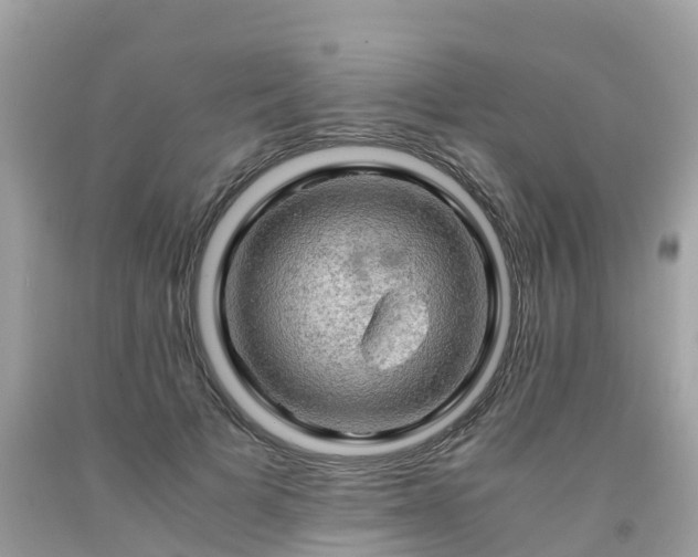 X0000092000697200709131514