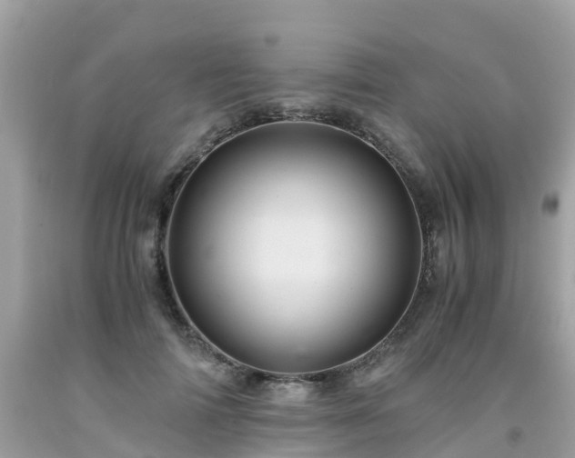 X0000092000698200709131514