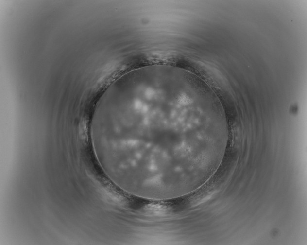 X0000092000699200709131514