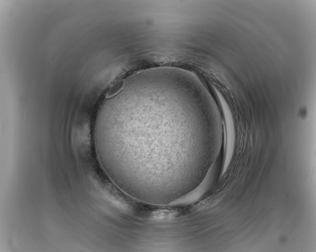 X0000092000700200709131514