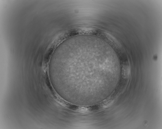 X0000092000701200709131514