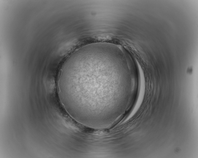 X0000092000704200709131514