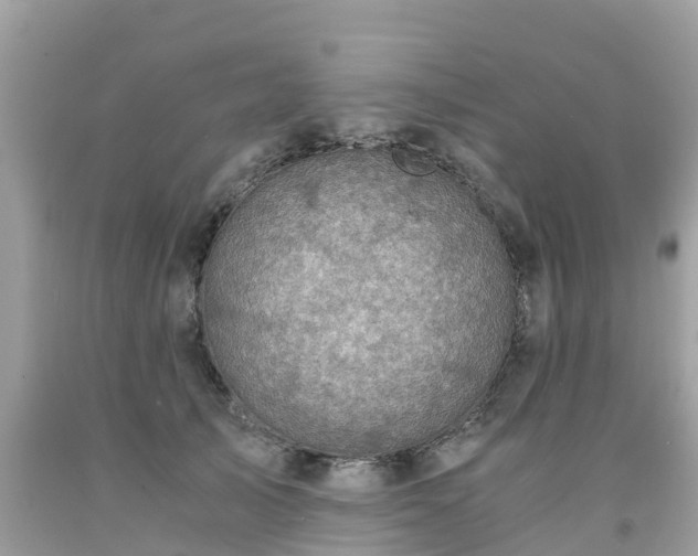 X0000092000705200709131514