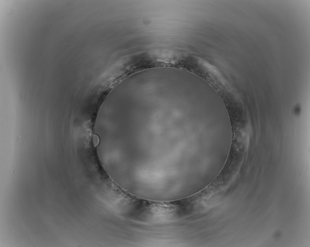 X0000092000707200709131514