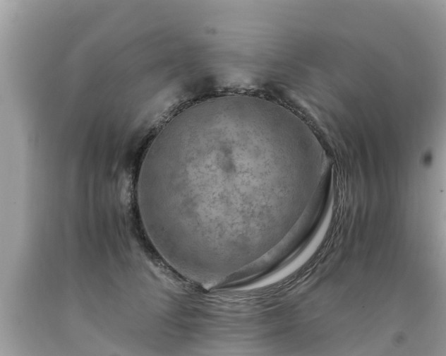 X0000092000708200709131514