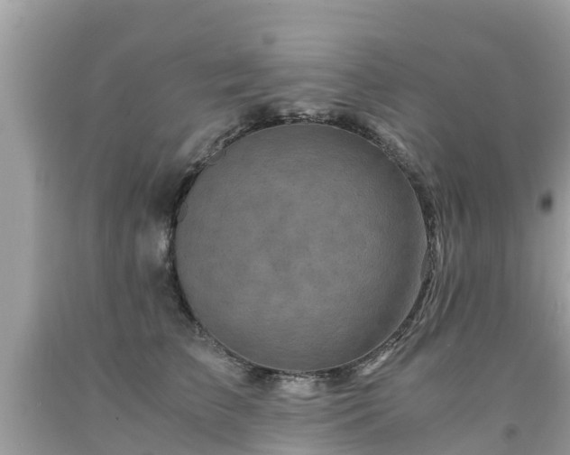 X0000092000709200709131514