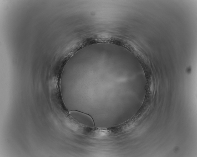 X0000092000711200709131514