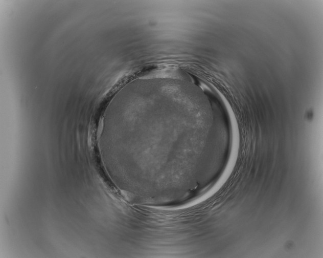 X0000092000712200709131514