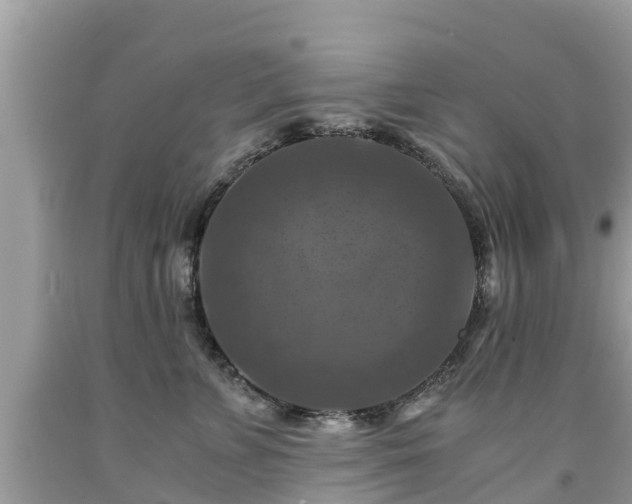 X0000092000715200709131514