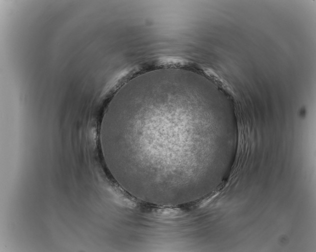 X0000092000716200709131514