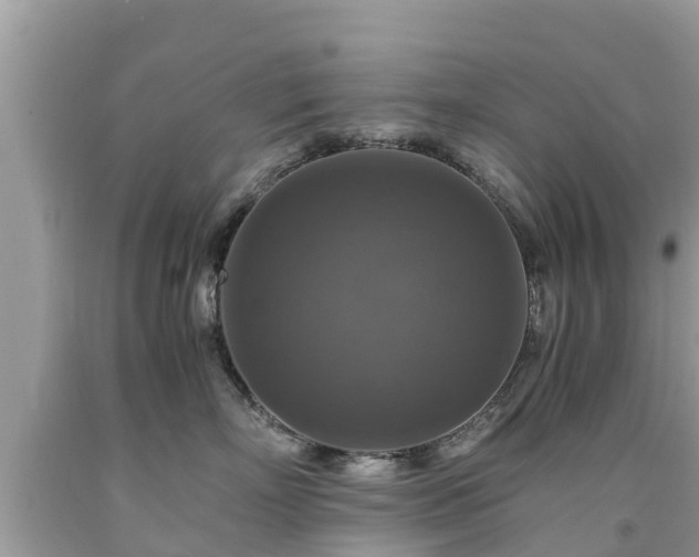 X0000092000718200709131514