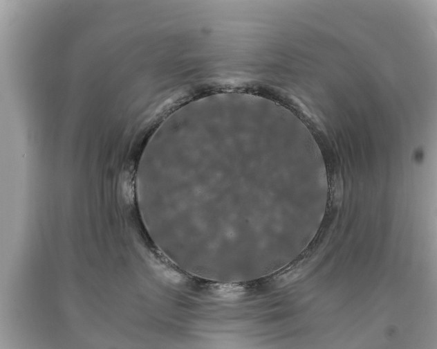 X0000092000719200709131514