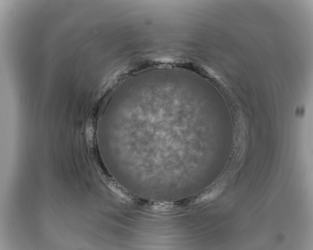 X0000092000720200709131514