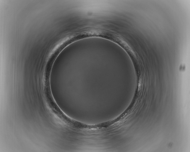 X0000092000722200709131514