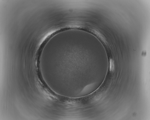 X0000092000723200709131514