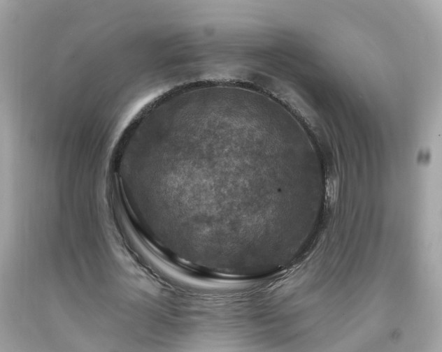 X0000092000724200709131514