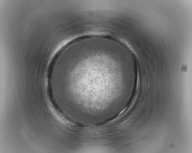 X0000092000726200709131514