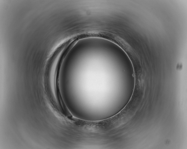 X0000092000728200709131514