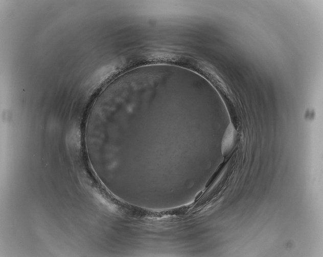 X0000092000729200709131514