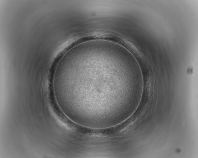 X0000092000730200709131514