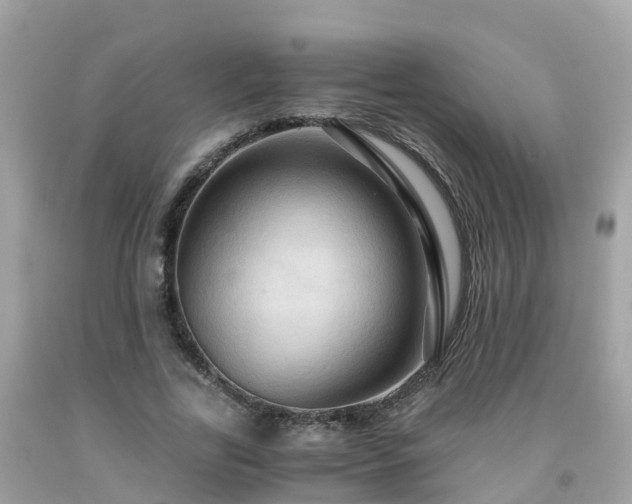 X0000092000731200709131514