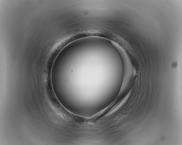 X0000092000732200709131514