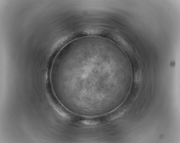 X0000092000733200709131514