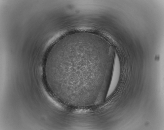 X0000092000734200709131514