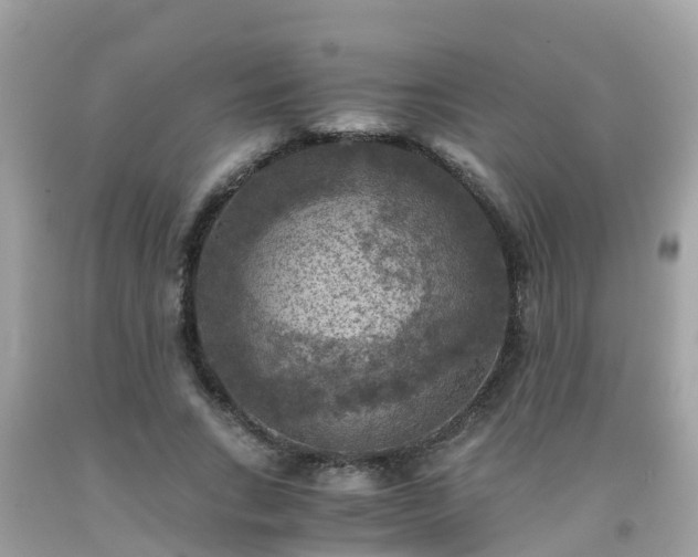 X0000092000735200709131514