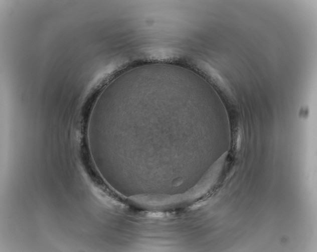 X0000092000736200709131514