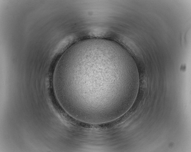 X0000092000738200709131514