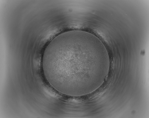 X0000092000739200709131514