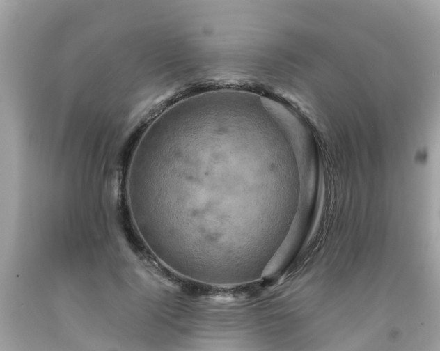 X0000092000740200709131514