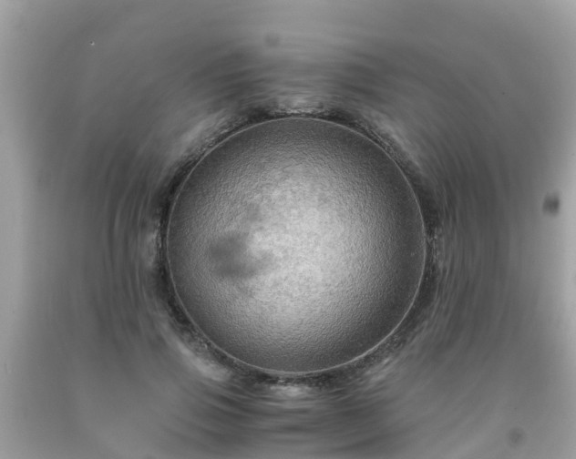 X0000092000741200709131514