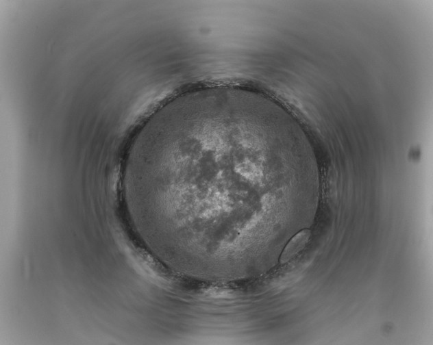 X0000092000742200709131514