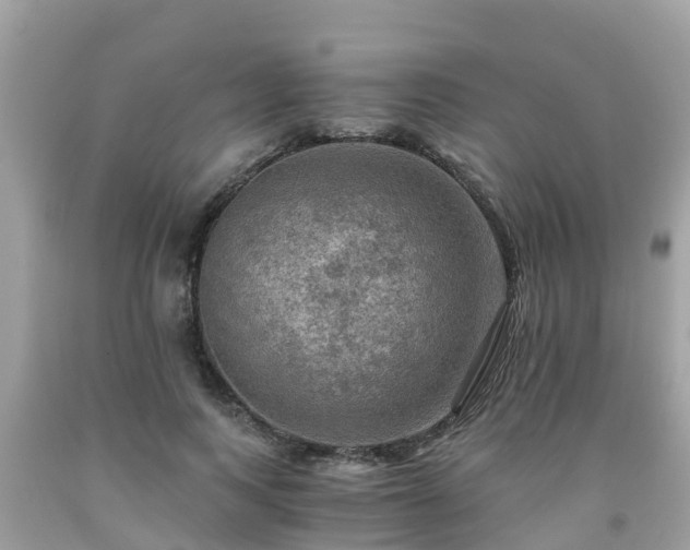 X0000092000743200709131514