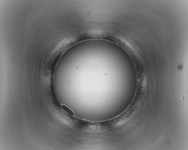 X0000092000744200709131514