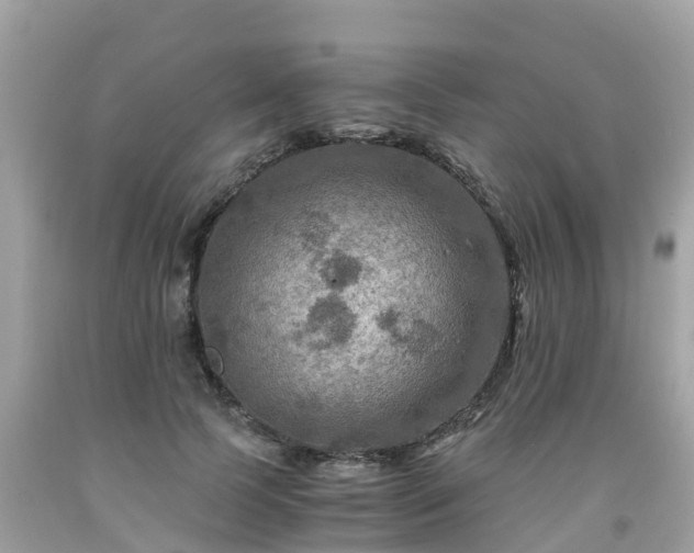 X0000092000745200709131514