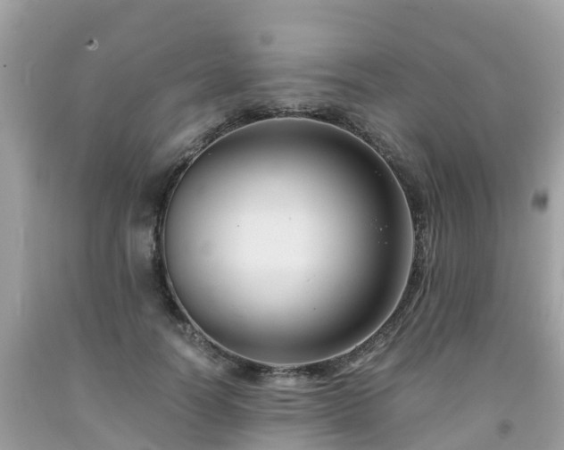 X0000092000746200709131514