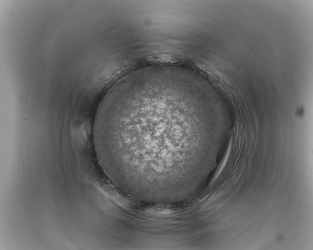 X0000092000747200709131514